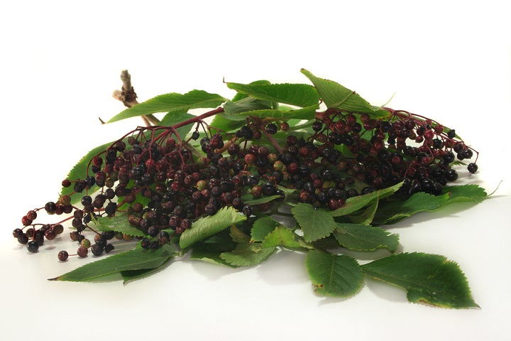 Elderberries