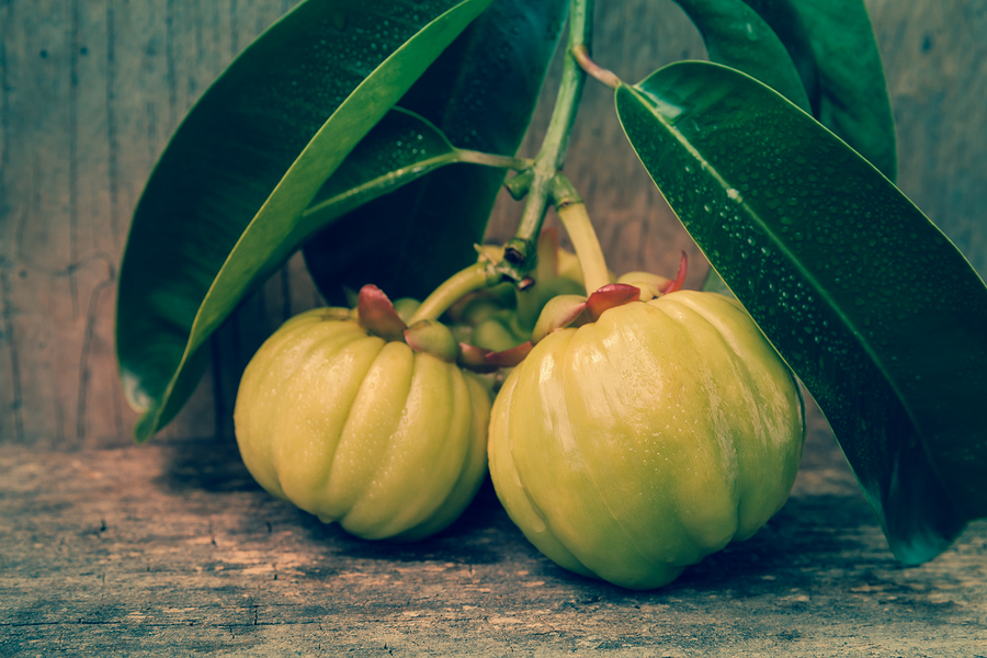 Garcinia Cambogia