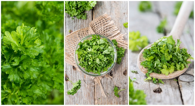 Fresh Parsley