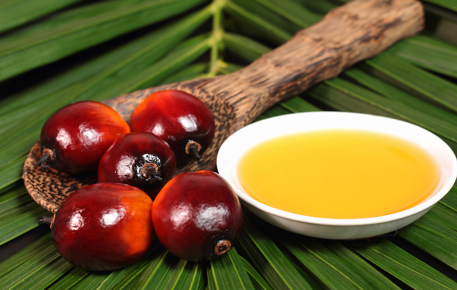 Olej palmowy