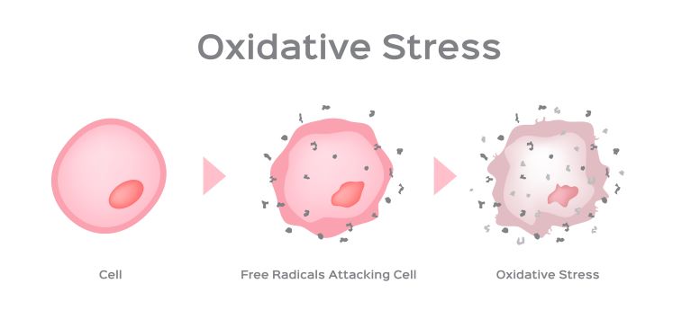 Stres oksydacyjny – czym jest?